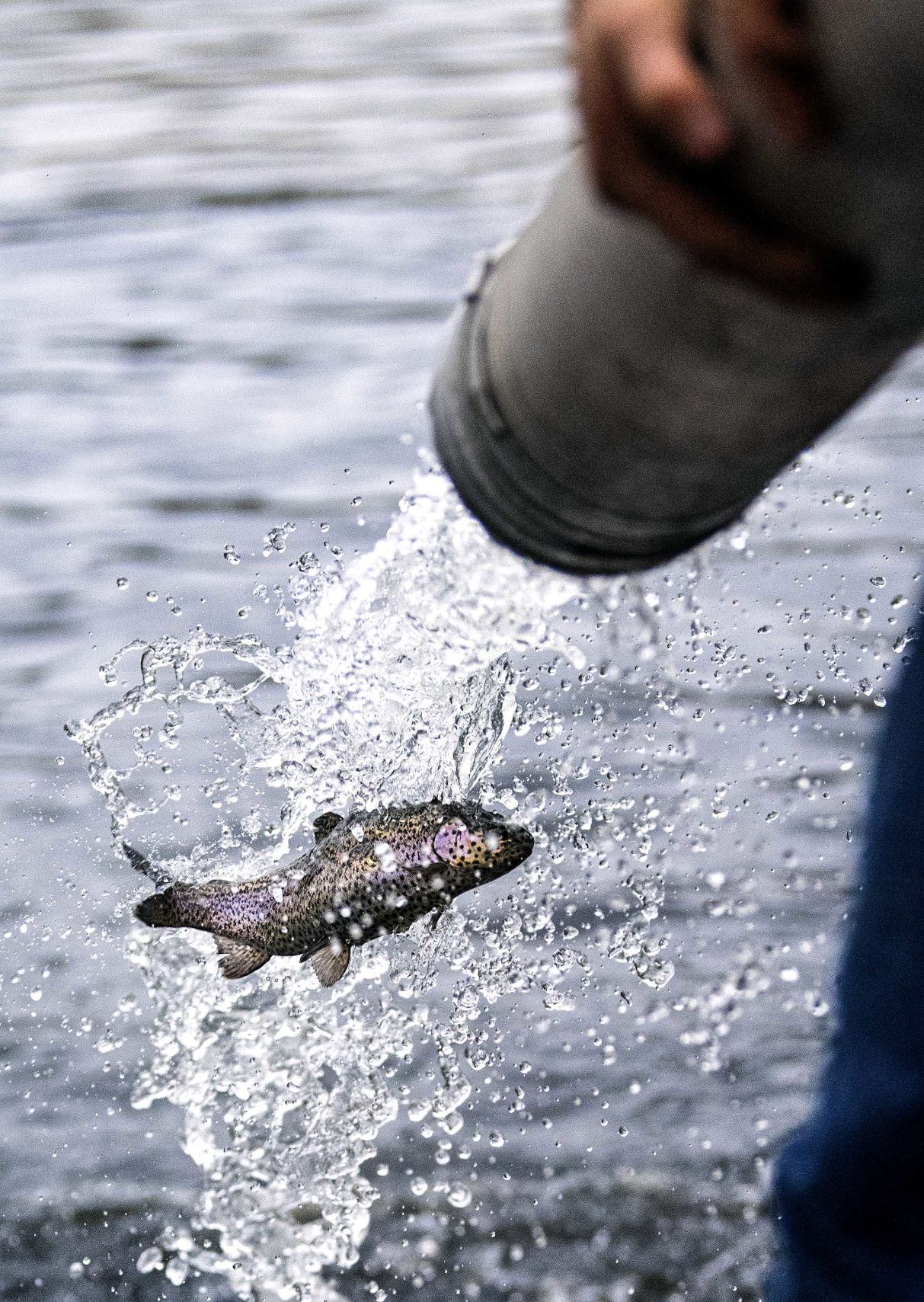 Into the water
